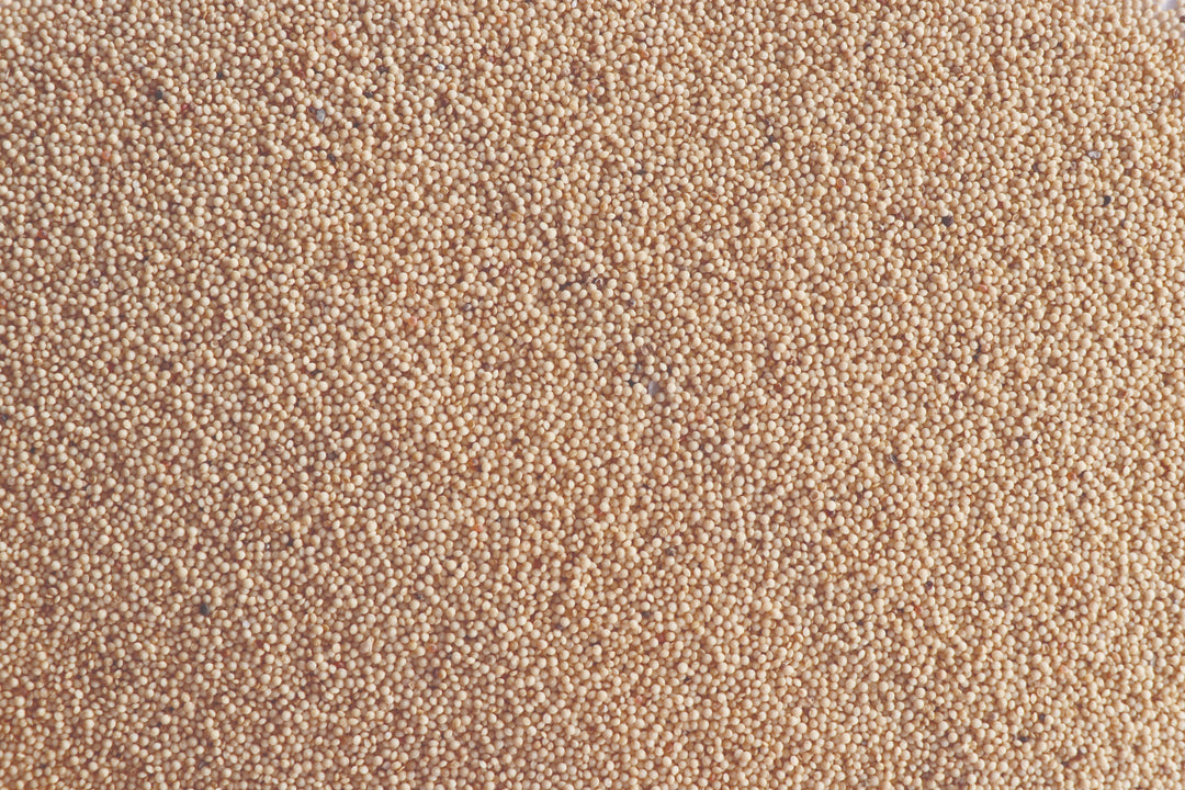 Himalayan Amaranthus Millet (Pahadi Chaulai)