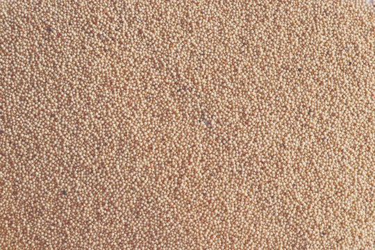 Himalayan Amaranthus Millet (Pahadi Chaulai)