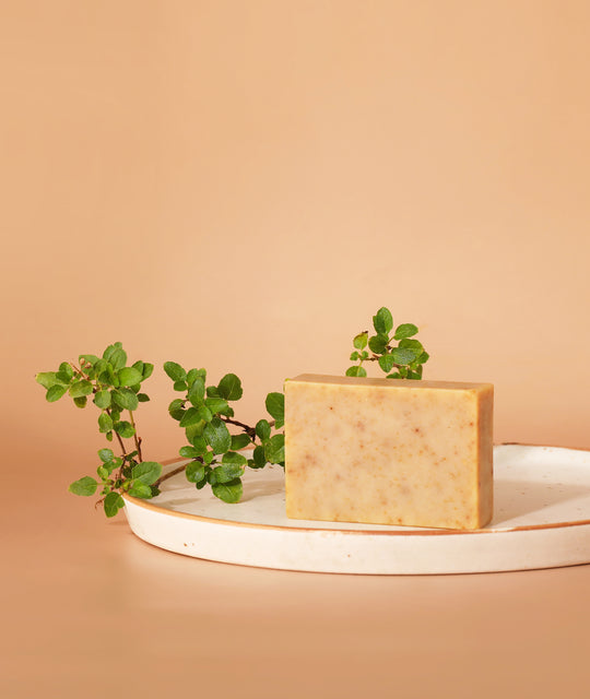Himalayan Butter Tree Soap (Chyura Soap) - Tulsi