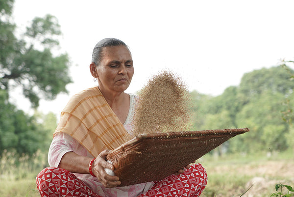 A crunchy story of change: How Swabhiman CLF transformed the image of millets