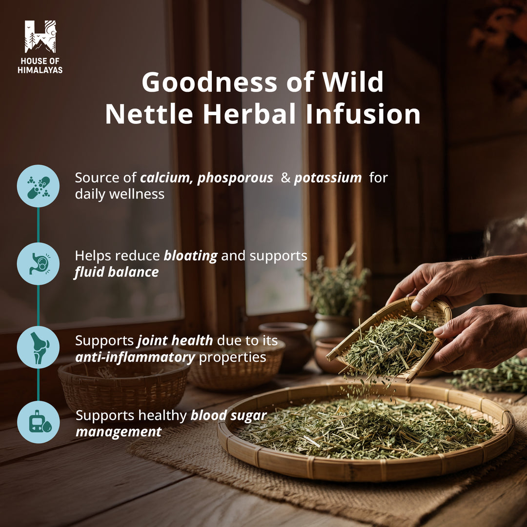 Himalayan Wild Nettle Herbal Infusion (Bichhu Ghas)