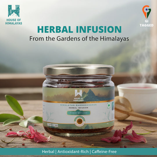 Himalayan Rhododendron Herbal Infusion (Buransh)