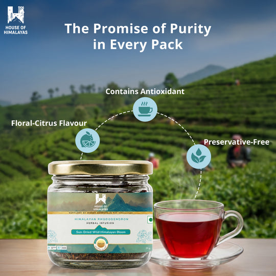 Himalayan Rhododendron Herbal Infusion (Buransh)