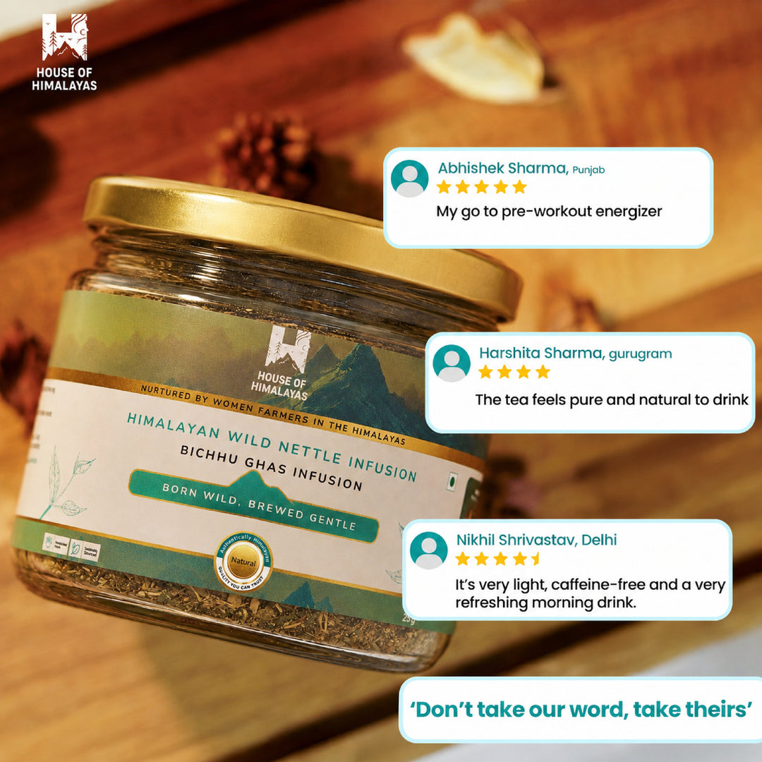 Himalayan Wild Nettle Herbal Infusion (Bichhu Ghas)