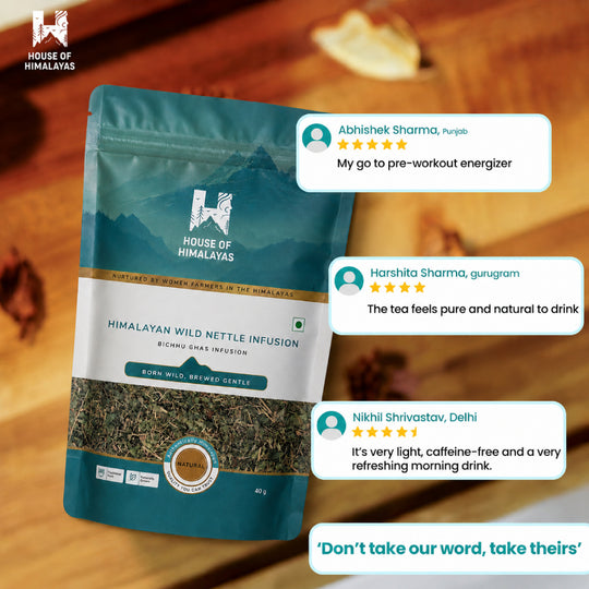 Himalayan Wild Nettle Herbal Infusion (Bichhu Ghas)