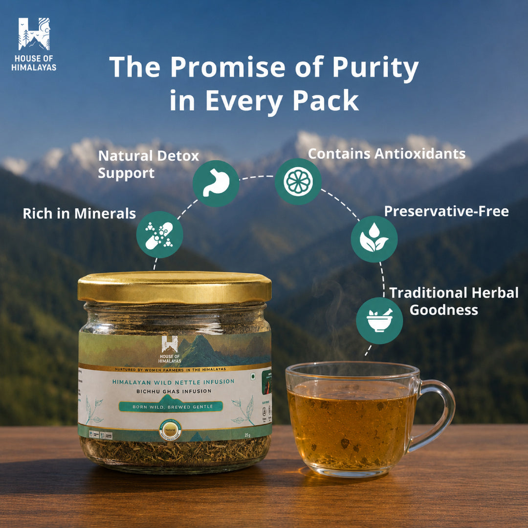 Himalayan Wild Nettle Herbal Infusion (Bichhu Ghas)