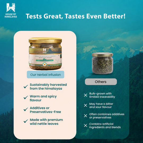 Himalayan Wild Nettle Herbal Infusion (Bichhu Ghas)