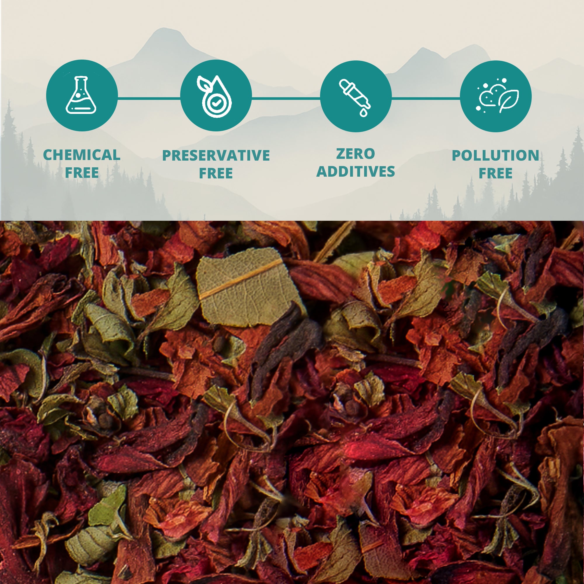 Himalayan Rhododendron Herbal Infusion (Buransh)
