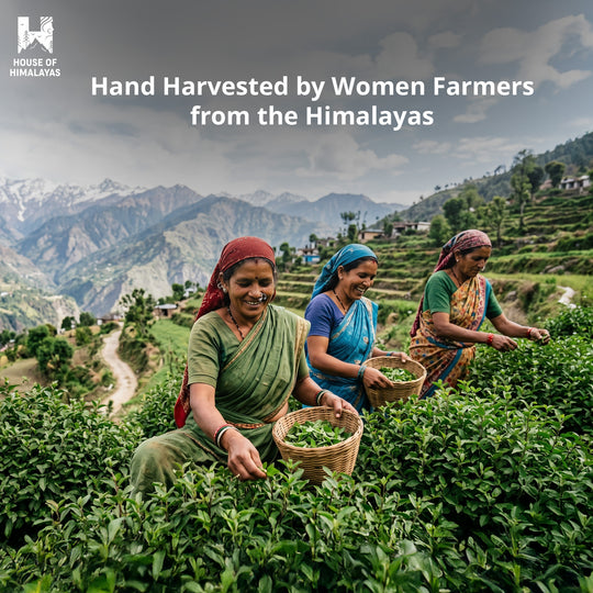 Himalayan Badri Tulsi Infusion