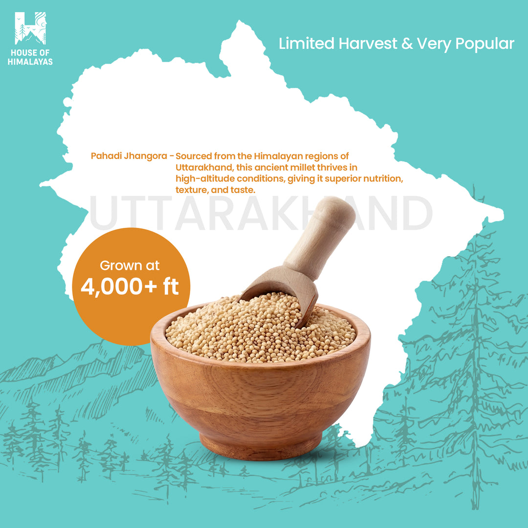 Himalayan Barnyard Millet (Pahadi Jhangora)