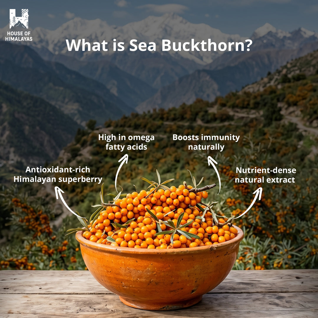 Himalayan Seabuckthorn Infusion