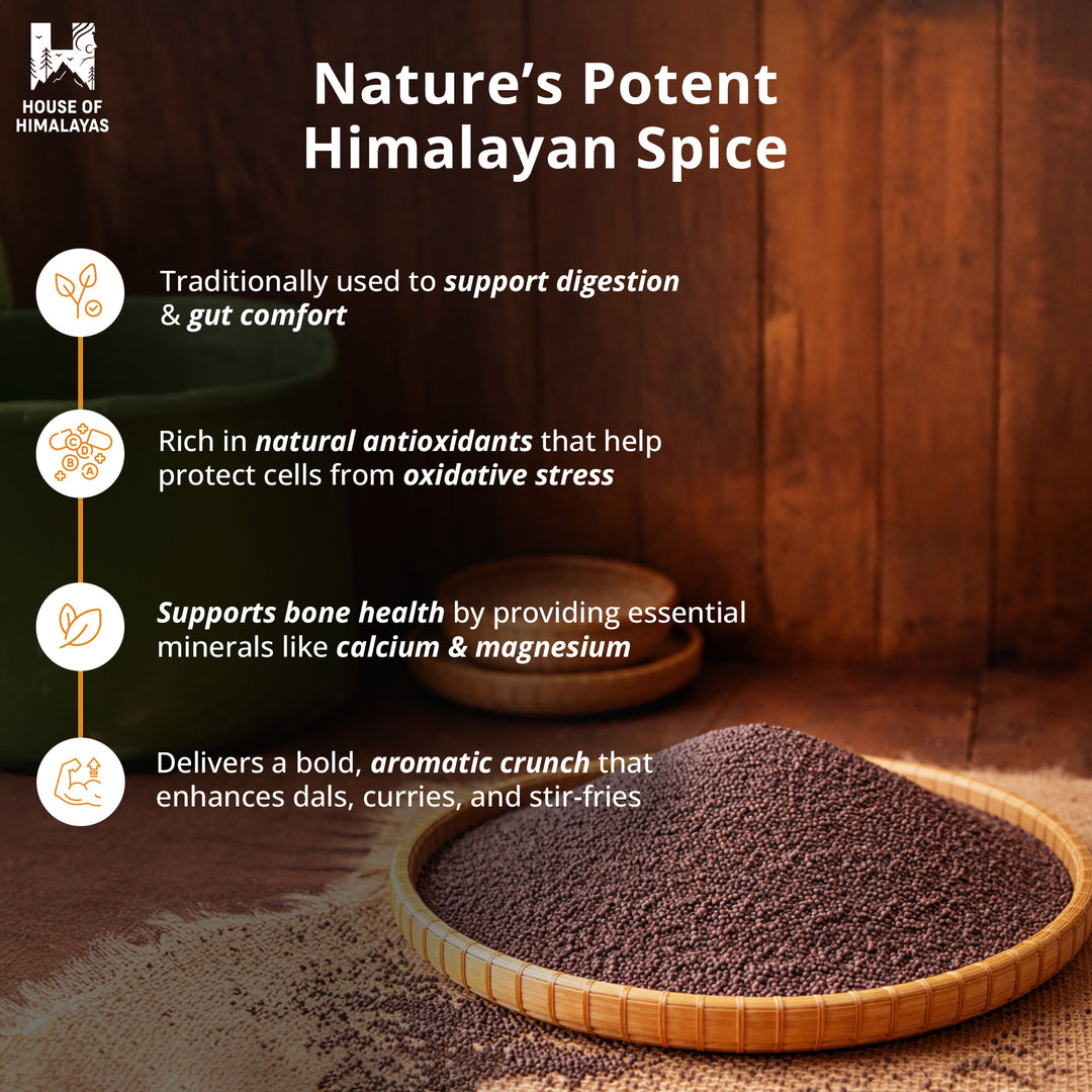 Himalayan Wild Mustard Seeds (Pahadi Jakhiya)