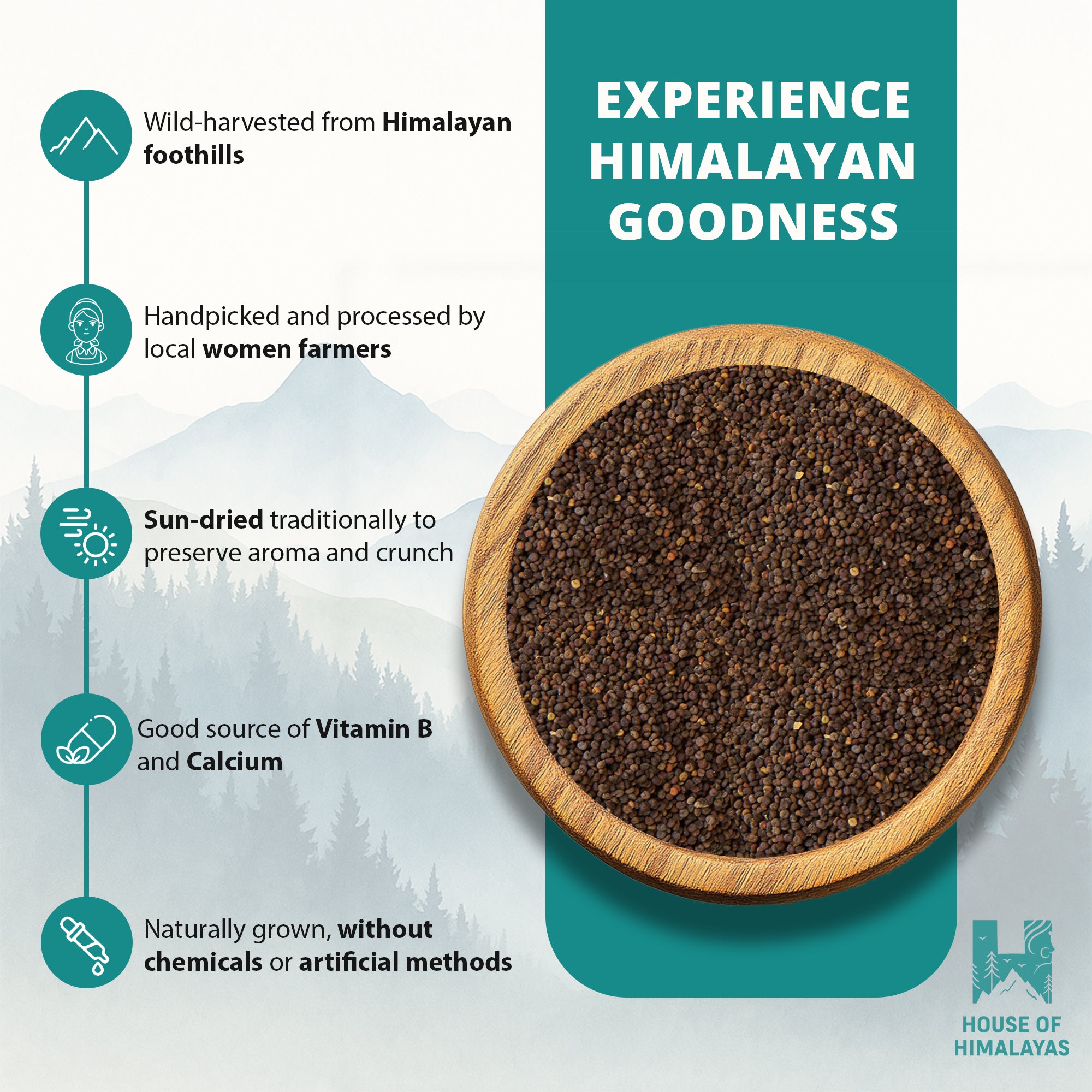 Himalayan Wild Mustard Seeds (Pahadi Jakhiya)