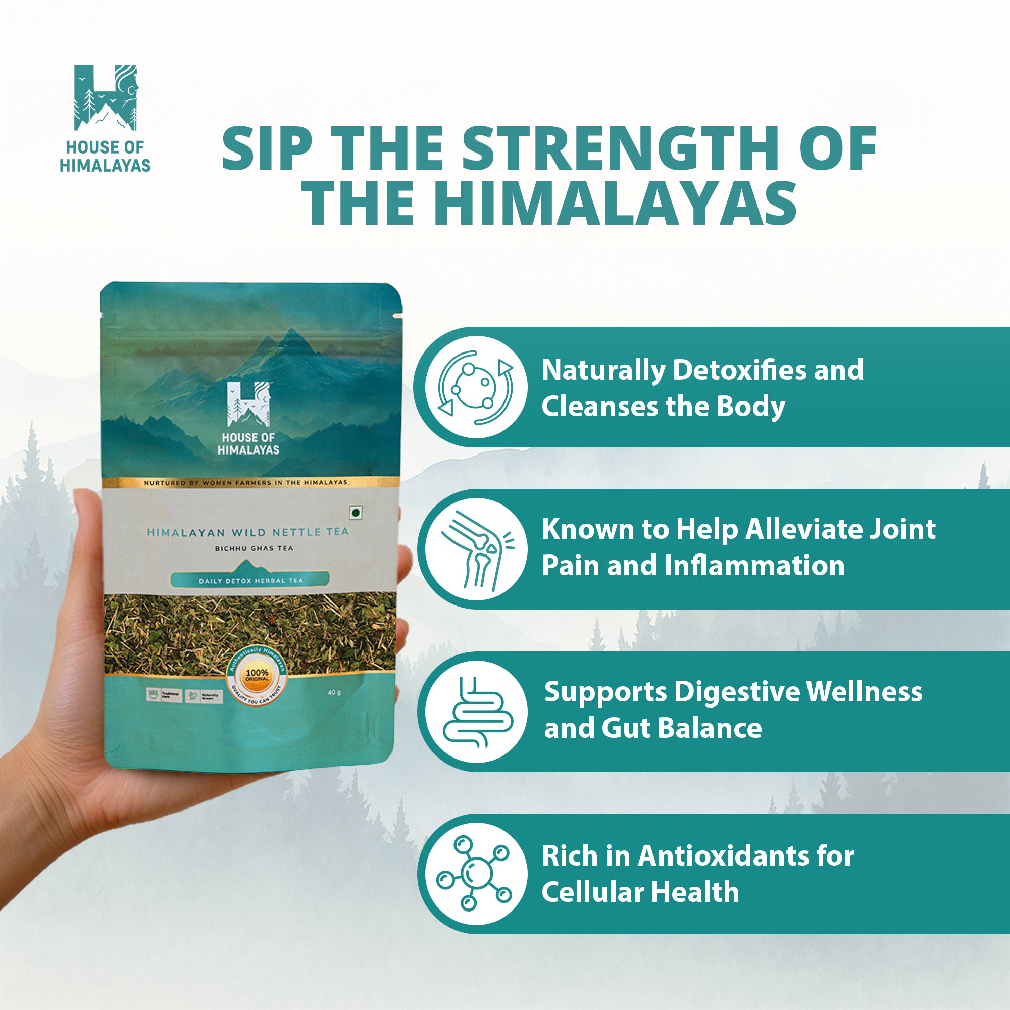 Himalayan Wild Nettle Herbal Infusion (Bichhu Ghas)