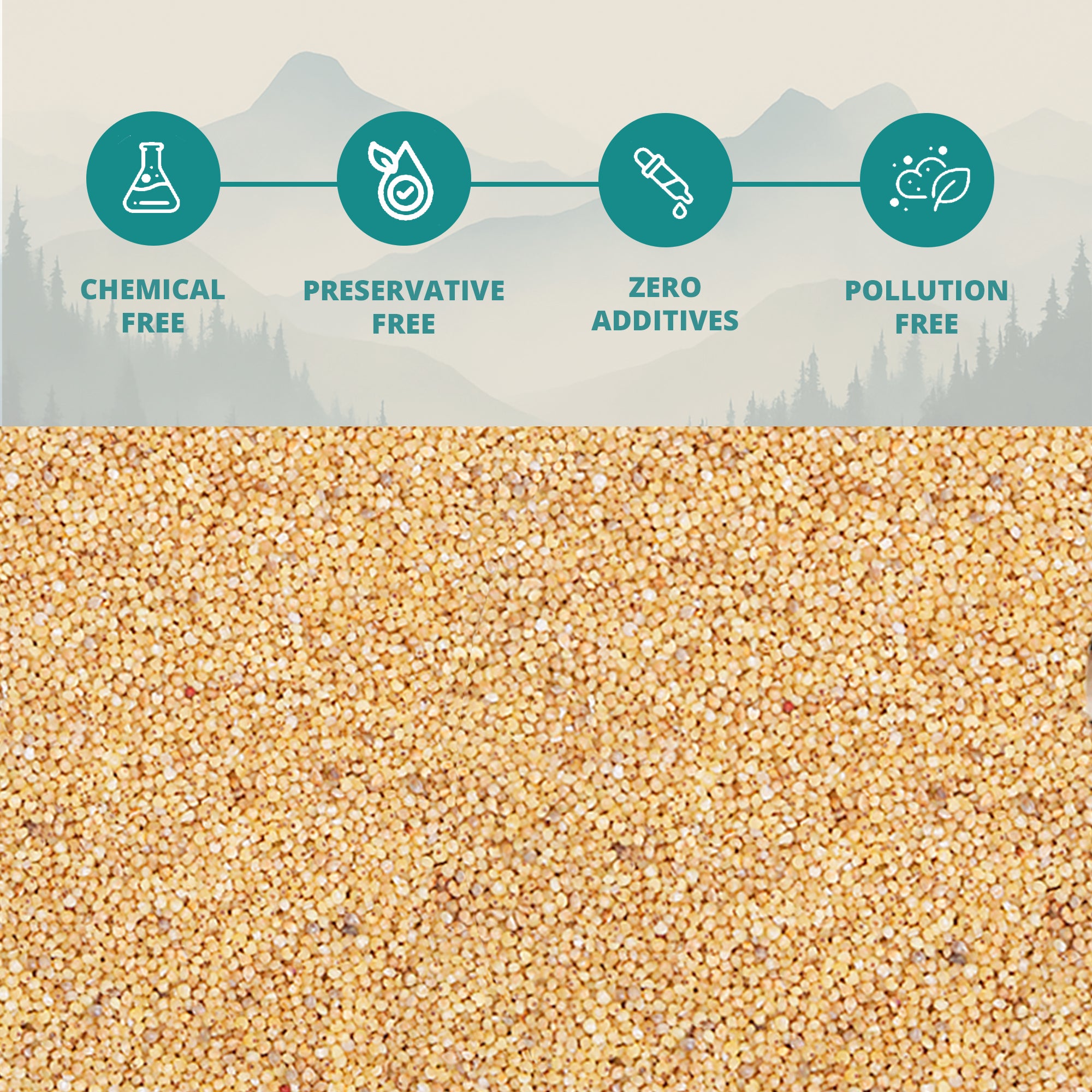 Himalayan Barnyard Millet Biscuits (Jhangora Biscuits)