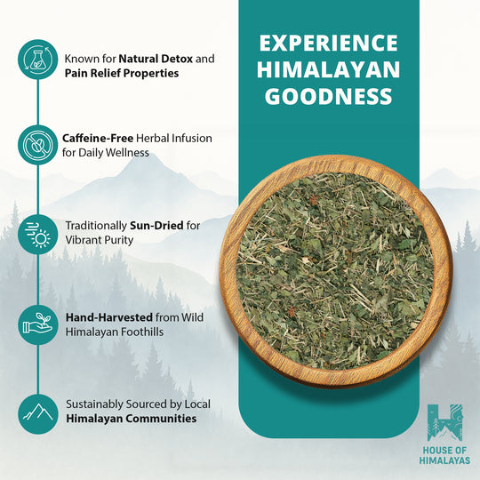 Himalayan Wild Nettle Herbal Infusion (Bichhu Ghas)