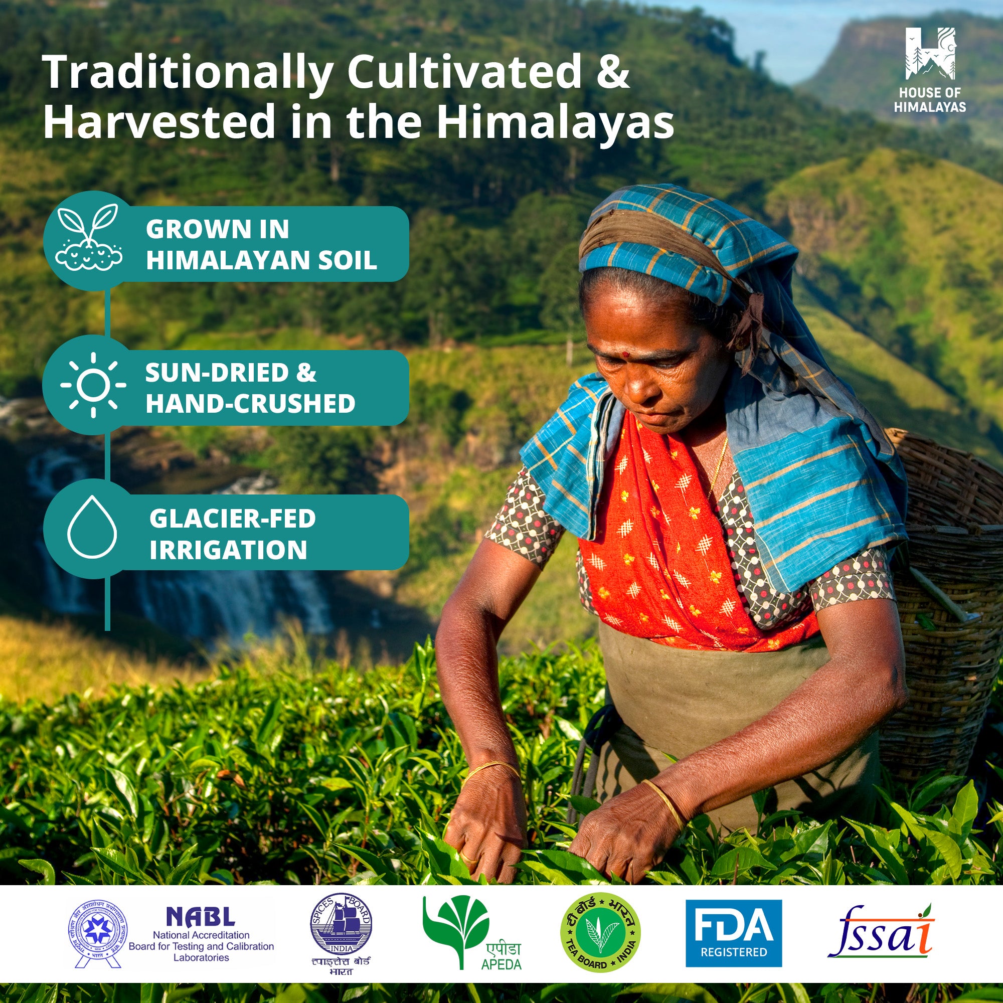 Himalayan Assorted Herbal Infusions & Honey Collection