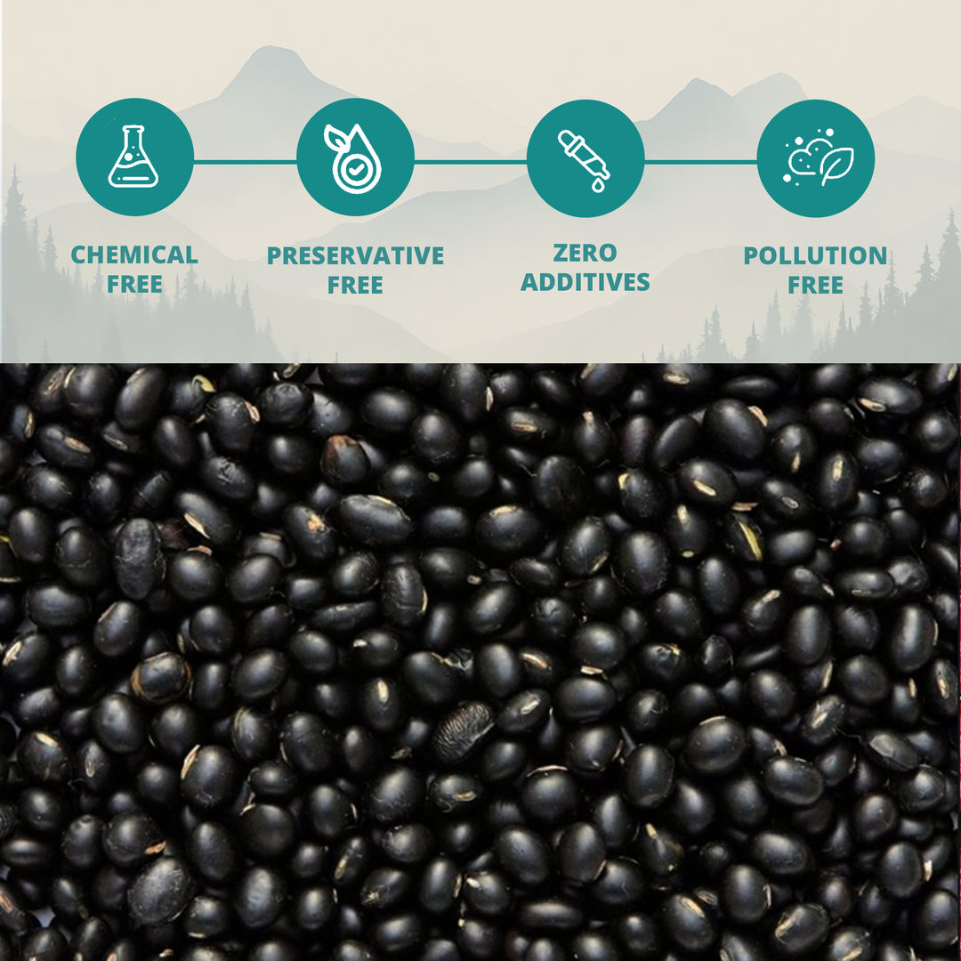 Himalayan Black Soyabeans (Pahadi Kala Bhatt)