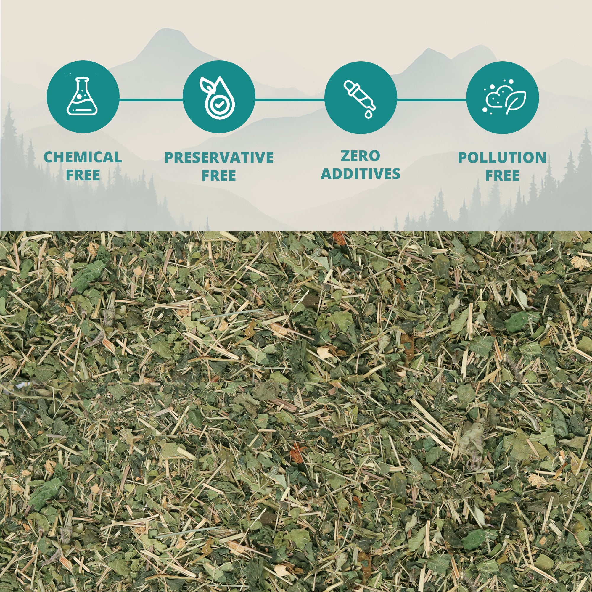 Himalayan Wild Nettle Herbal Infusion (Bichhu Ghas)