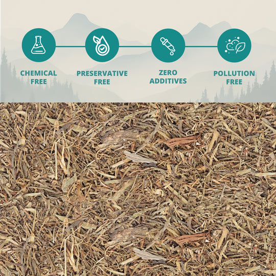 Himalayan Faran (Pahadi Jambu)