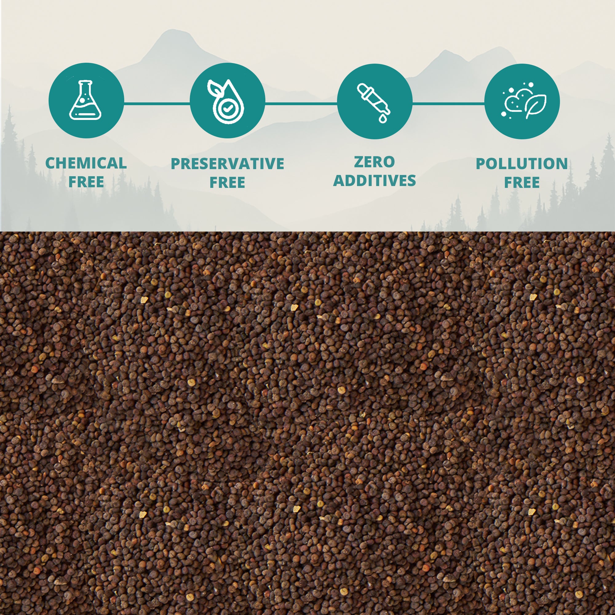 Himalayan Wild Mustard Seeds (Pahadi Jakhiya)