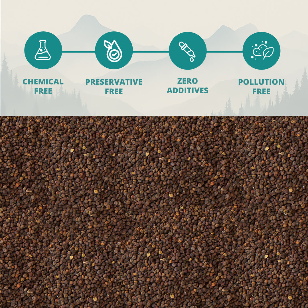 Himalayan Wild Mustard Seeds (Pahadi Jakhiya)