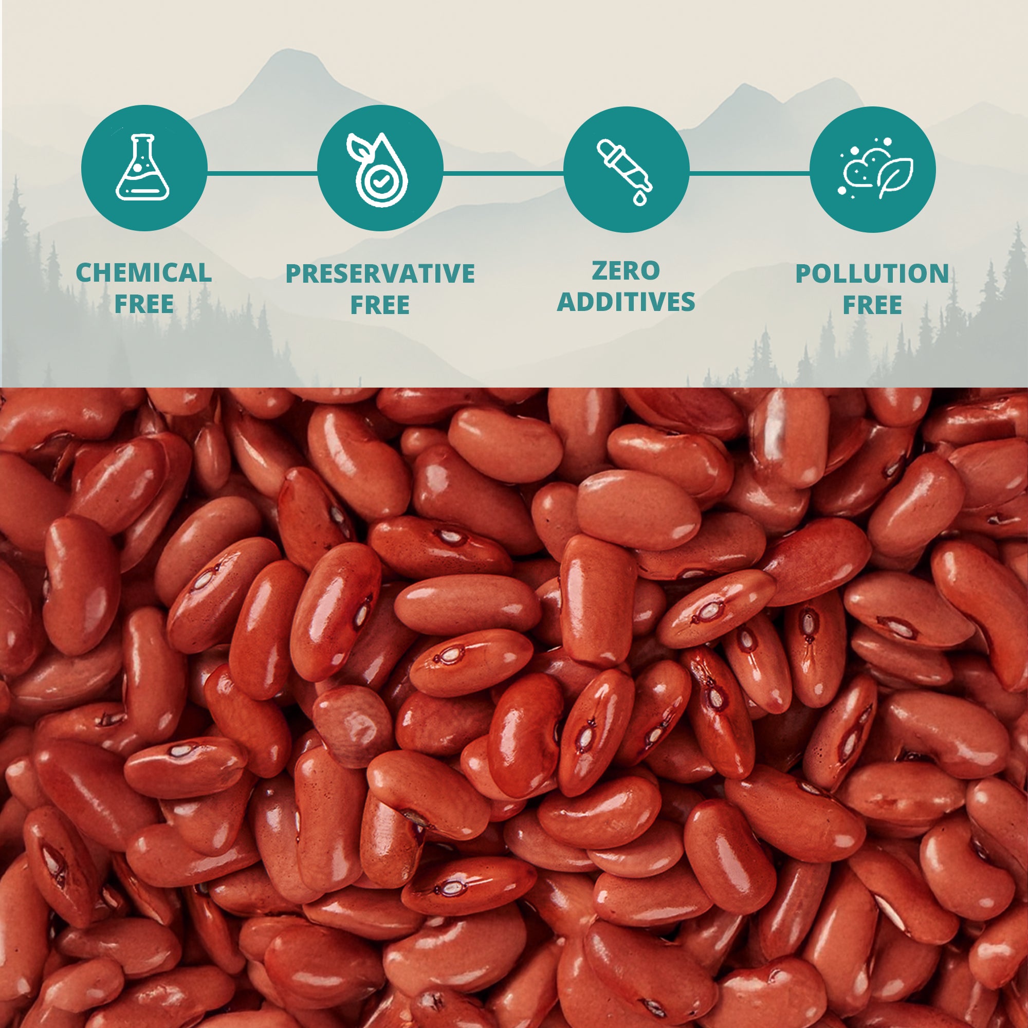 Himalayan Kidney Beans (Munsiyari Rajma)