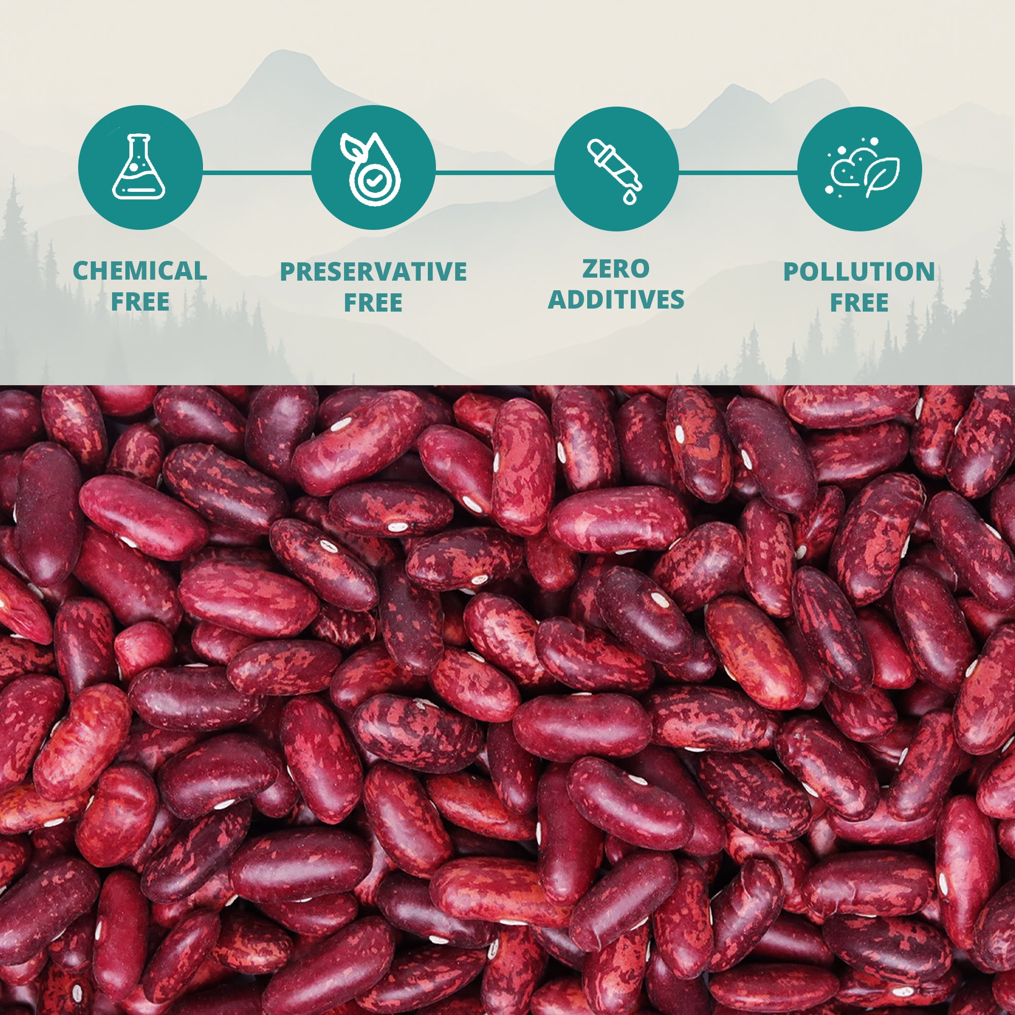Himalayan Kidney Beans (Chakrata Rajma)