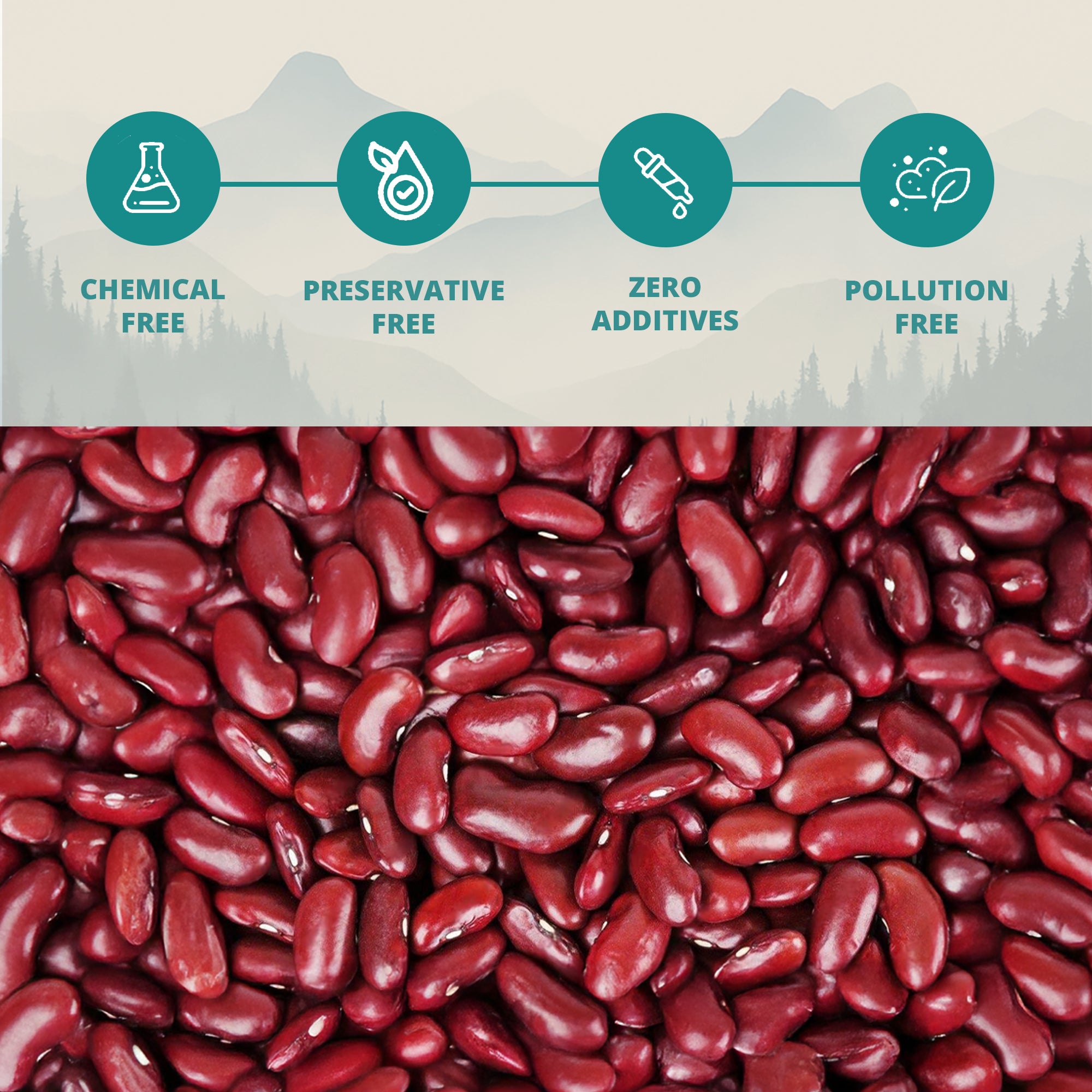 Himalayan Kidney Beans (Pahadi Rajma)