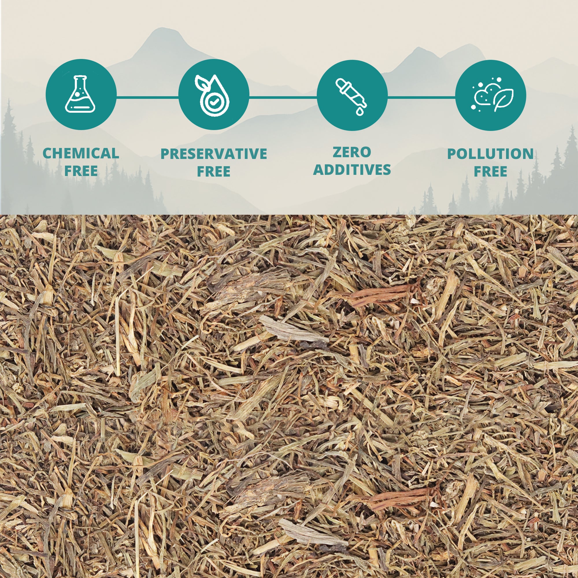 Himalayan Faran (Pahadi Jambu)