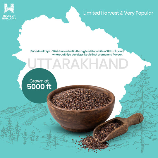 Himalayan Wild Mustard Seeds (Pahadi Jakhiya)