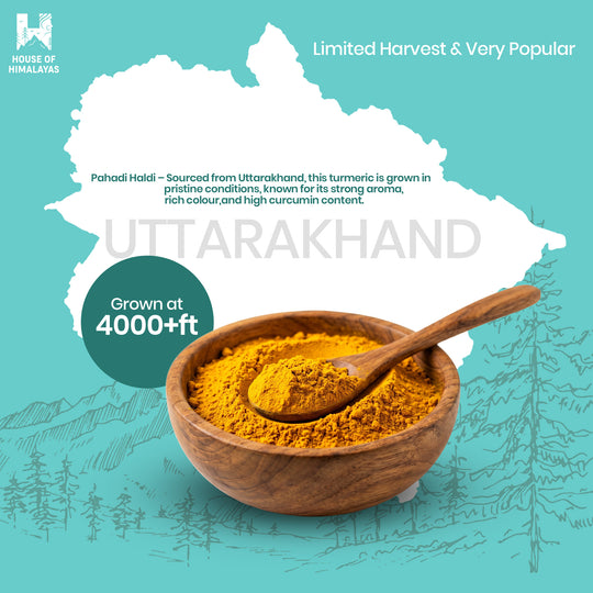 Himalayan Turmeric Powder (Pahadi Haldi)