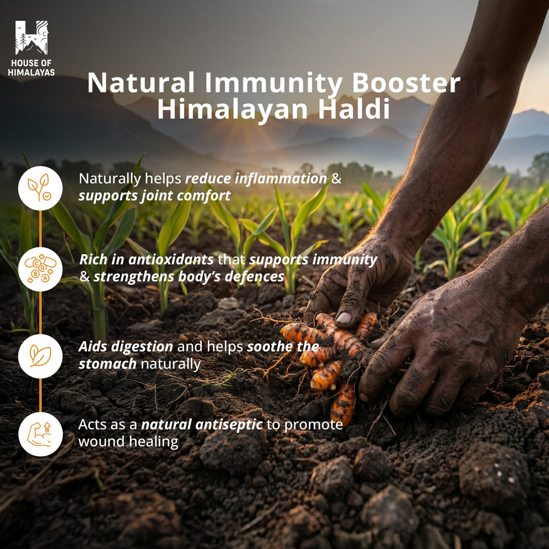 Himalayan Turmeric Powder (Pahadi Haldi)
