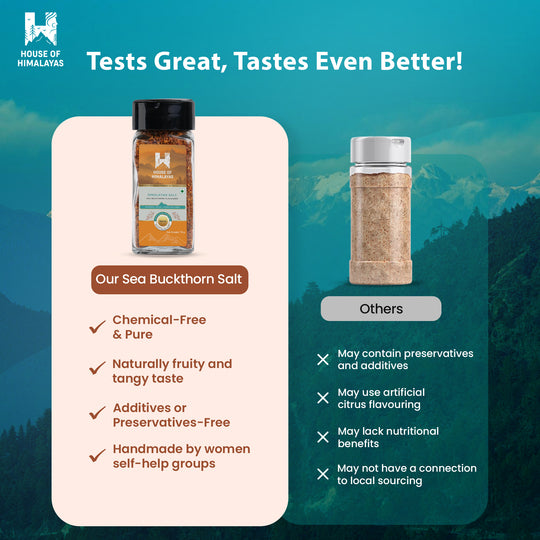 Himalayan Salt - Sea buckthorn Seasoning