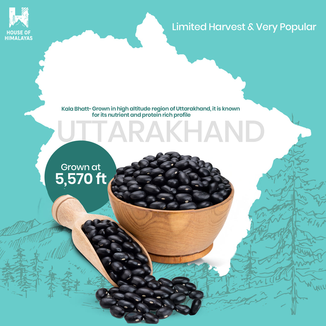 Himalayan Black Soyabeans (Pahadi Kala Bhatt)