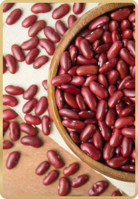 Pulses