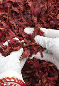 Herbal Infusions
