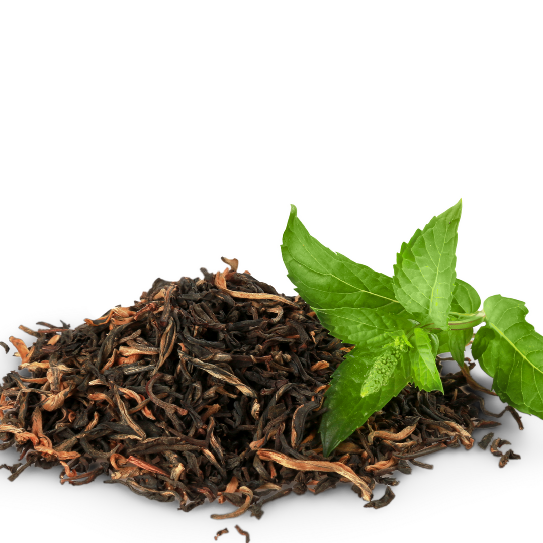 Himalayan Wild Nettle Tea (Bichhu Ghas Tea) House of Himalayas