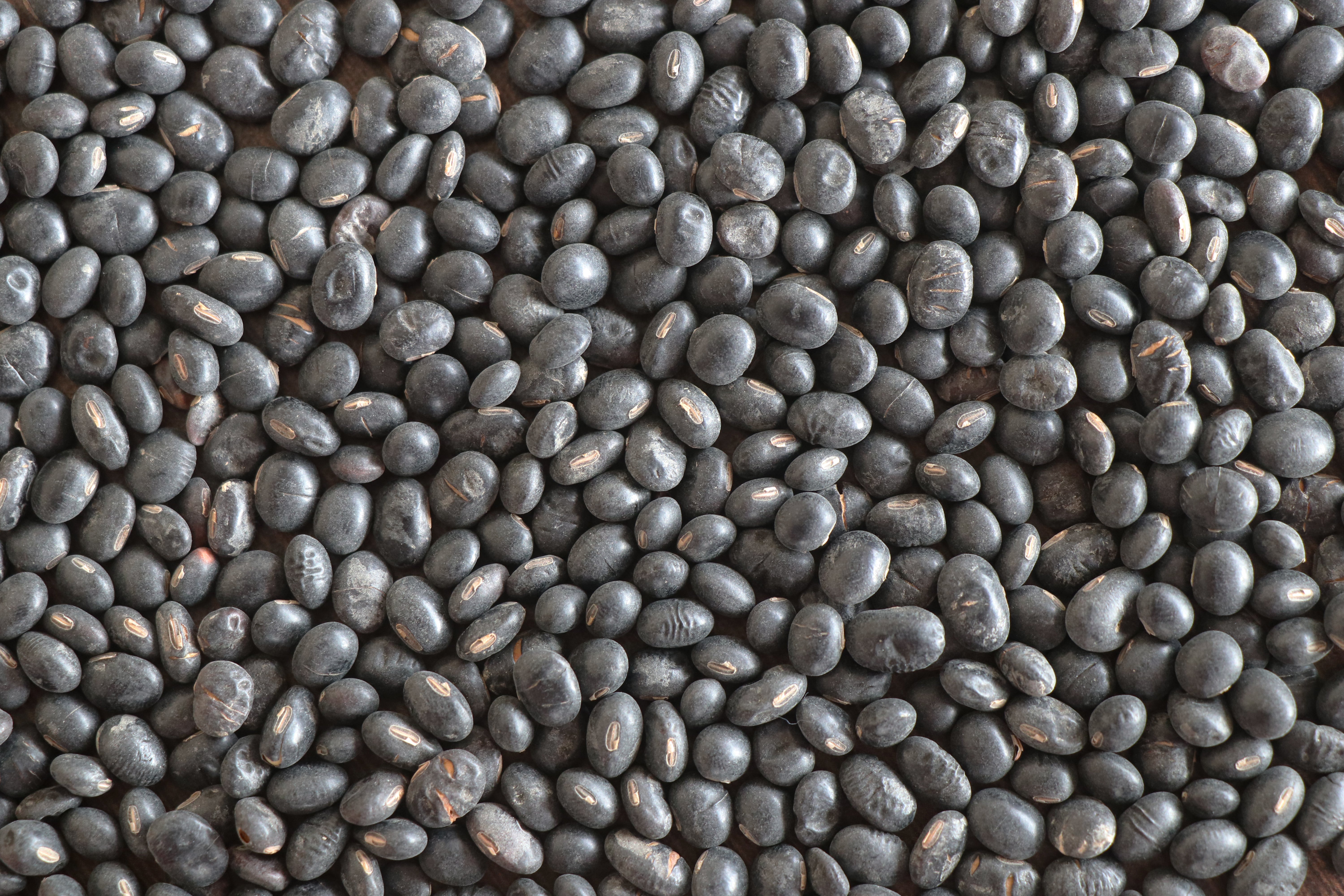 Himalayan Black Soyabeans (Pahadi Kala Bhatt)
