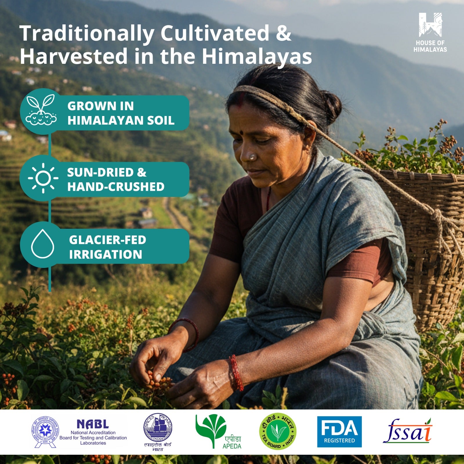 Himalayan Heirloom Salt & Spice Collection